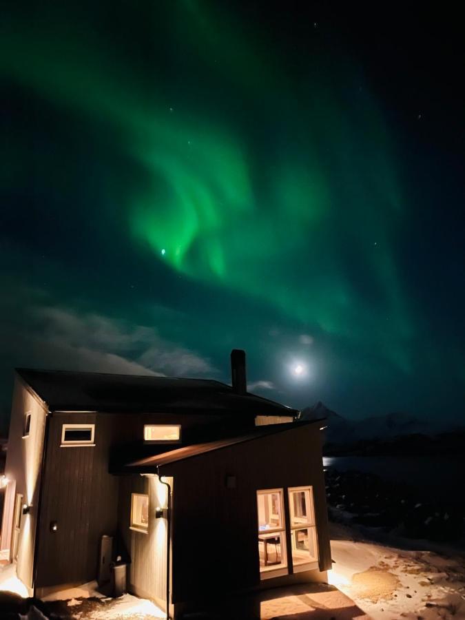 Lofoten SeaZens Panorama Leknes Exterior foto